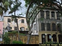 Portugal - Madere - Funchal - 083